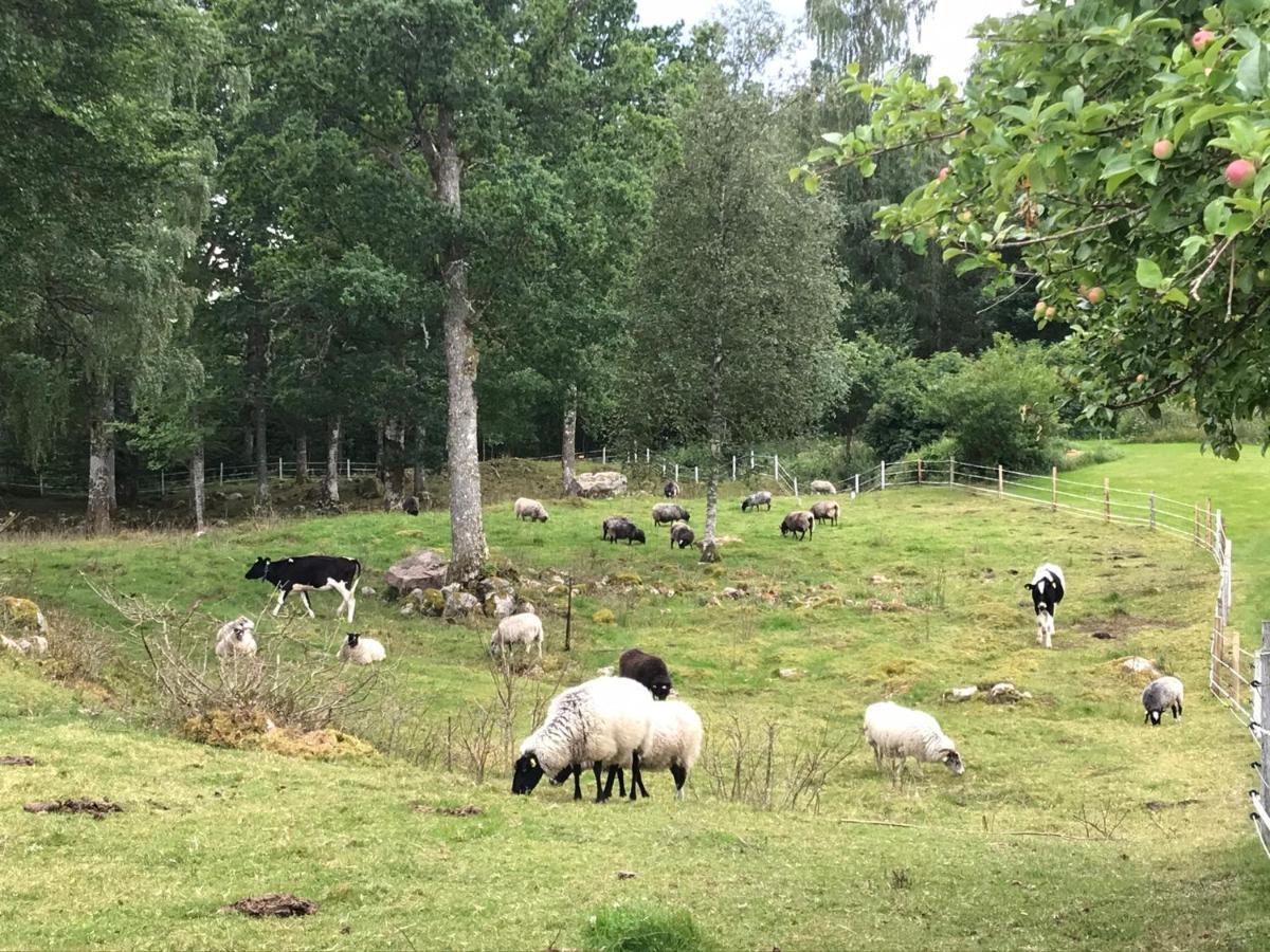 Joarsbo, Stuga 2, Gardsstugan Villa Kalv Esterno foto