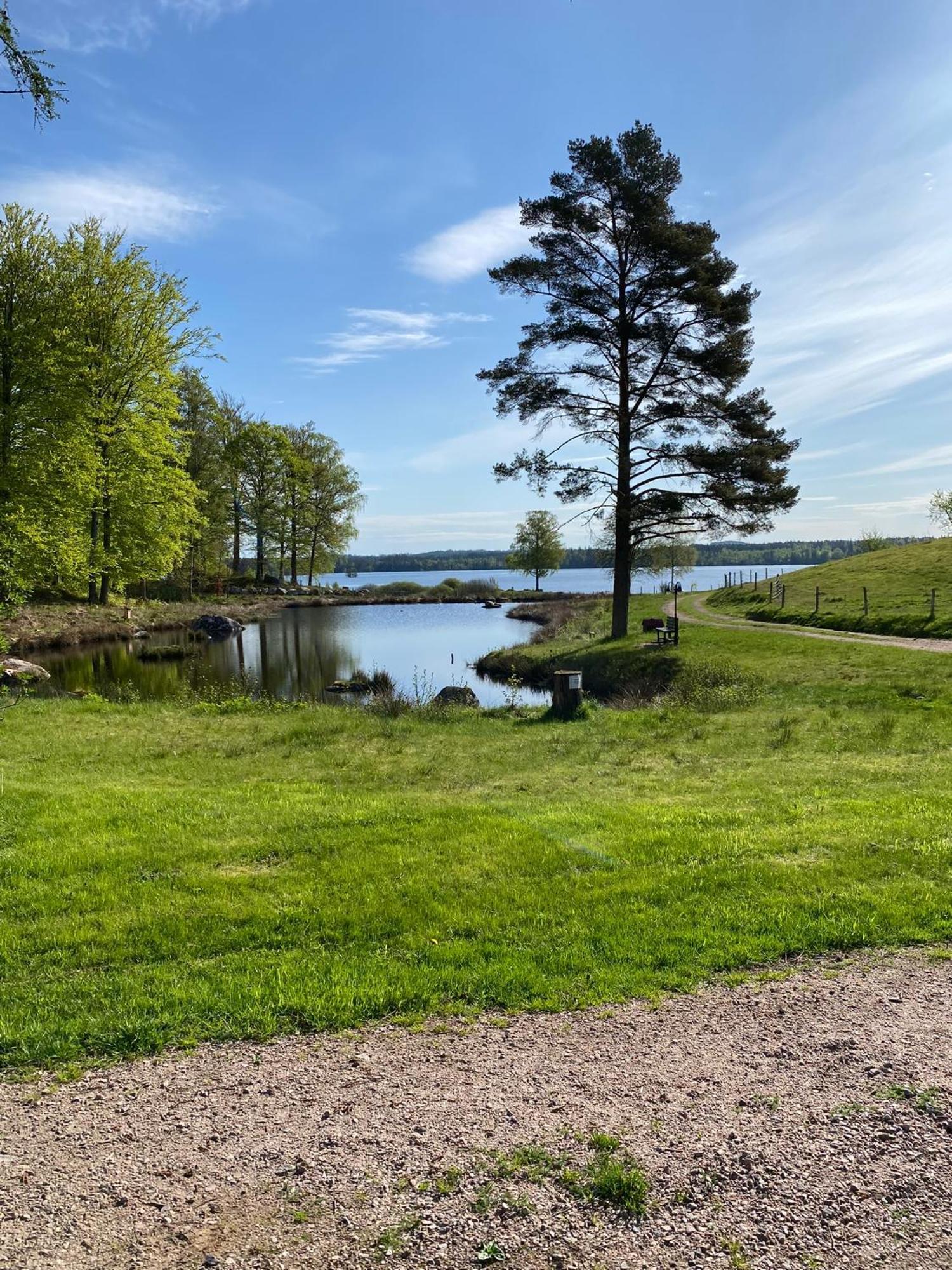 Joarsbo, Stuga 2, Gardsstugan Villa Kalv Esterno foto